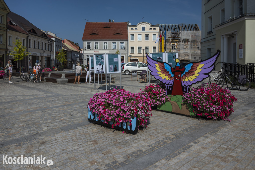 Więcej kwiatów w Kościanie