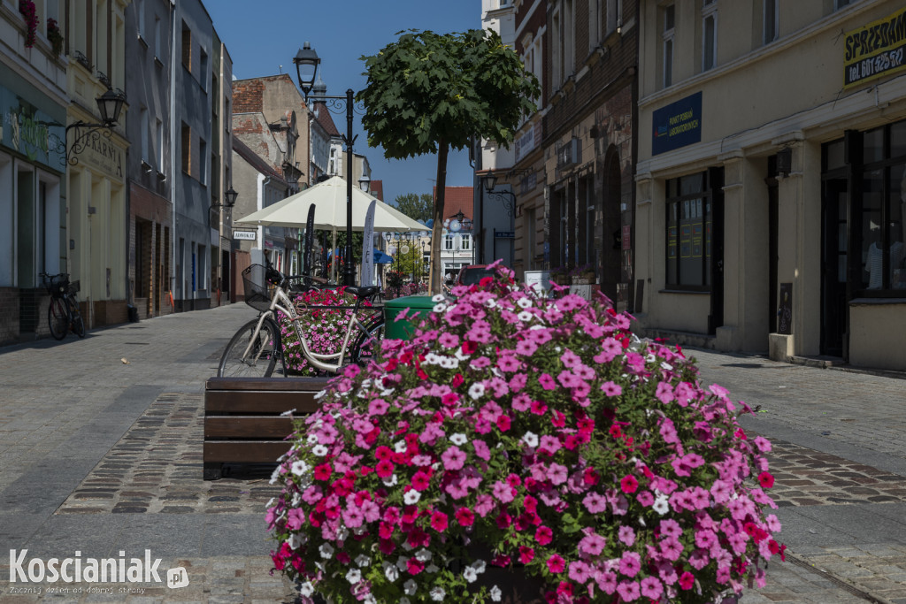 Więcej kwiatów w Kościanie