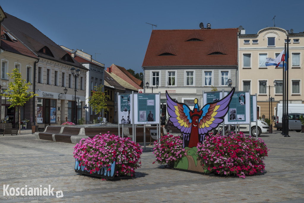 Więcej kwiatów w Kościanie