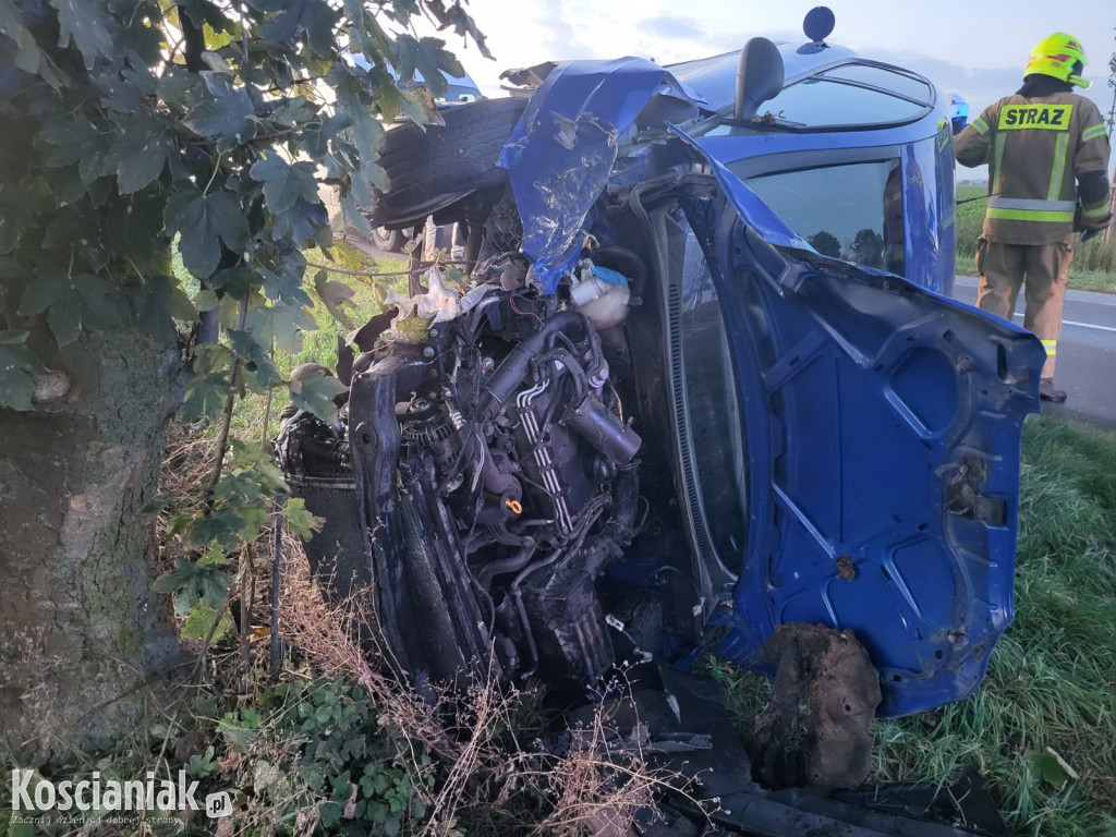 Zjechał z drogi i uderzył w drzewo