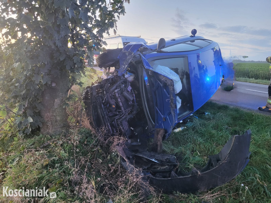 Zjechał z drogi i uderzył w drzewo