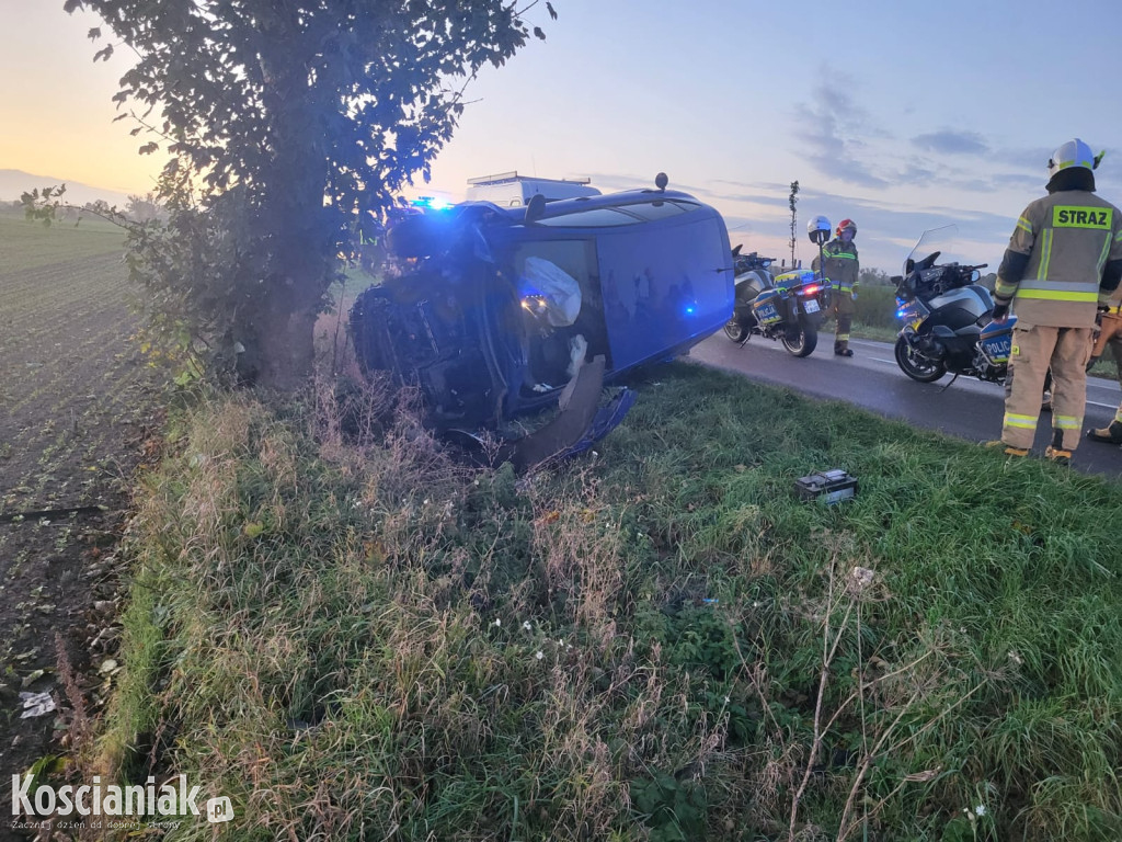 Zjechał z drogi i uderzył w drzewo