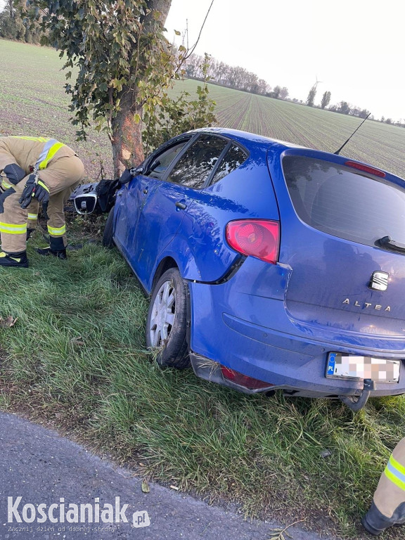 Zjechał z drogi i uderzył w drzewo