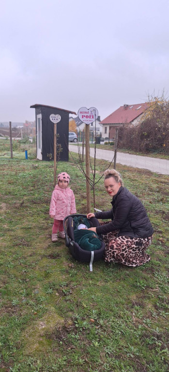 Edycja jesienna akcji „Drzewko Życia”