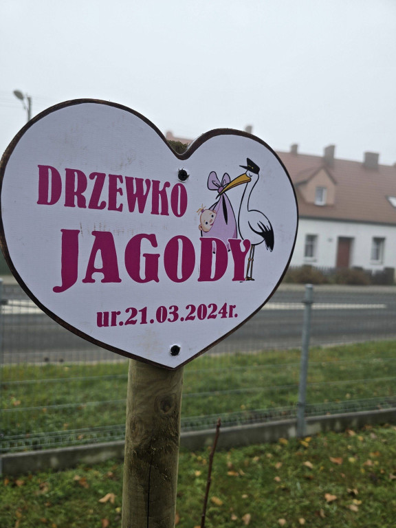 Edycja jesienna akcji „Drzewko Życia”