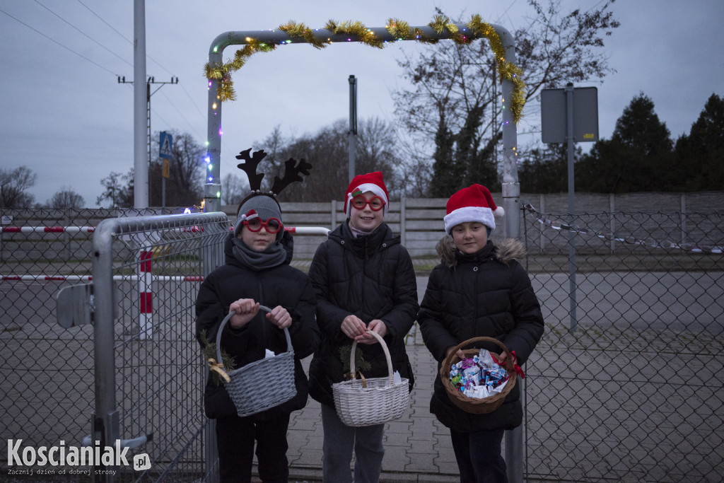 Rozświetlanie choinki w Kurzej Górze