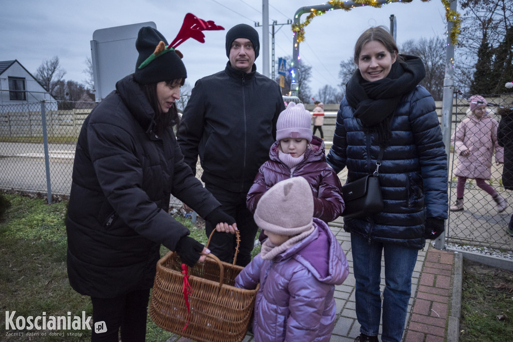 Rozświetlanie choinki w Kurzej Górze