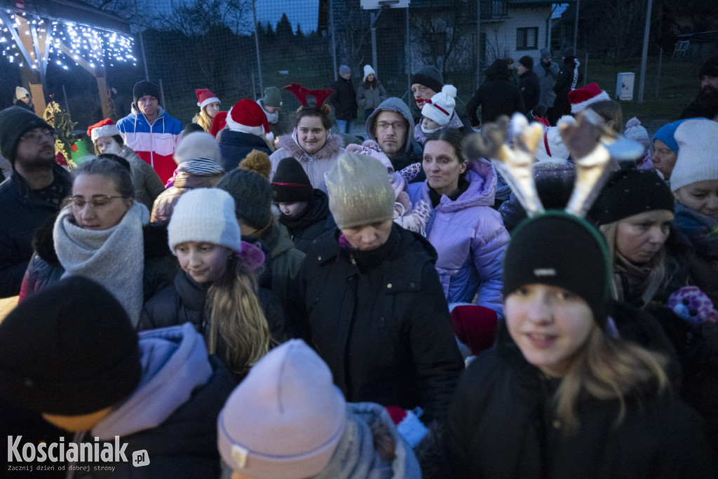 Rozświetlanie choinki w Kurzej Górze