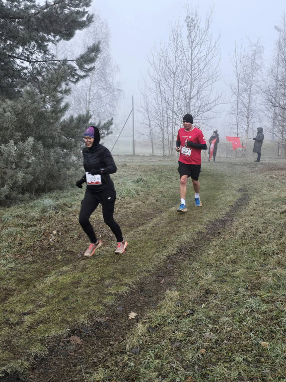 Powstańcze Biegi Przełajowe i Marsz Nordic Walking