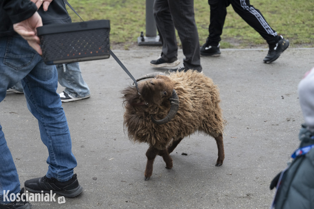 33. finał WOŚP w Kościanie