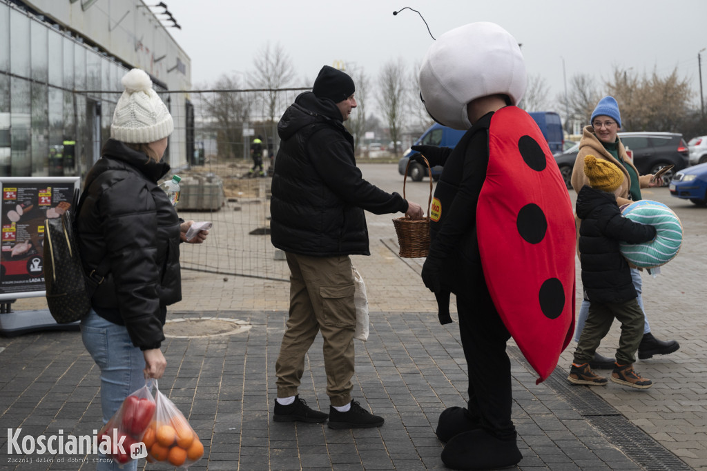 Biedronka w budynku po Tesco już otwarta