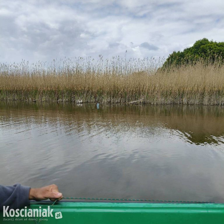 Kontrolowali wędkarzy nad jeziorami powiatu