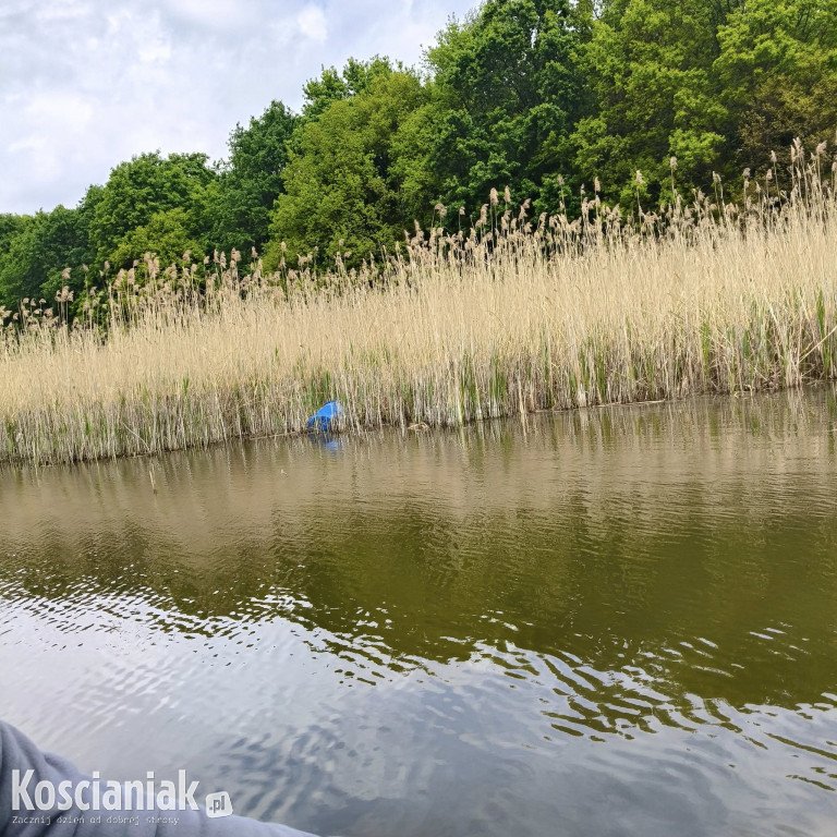 Kontrolowali wędkarzy nad jeziorami powiatu