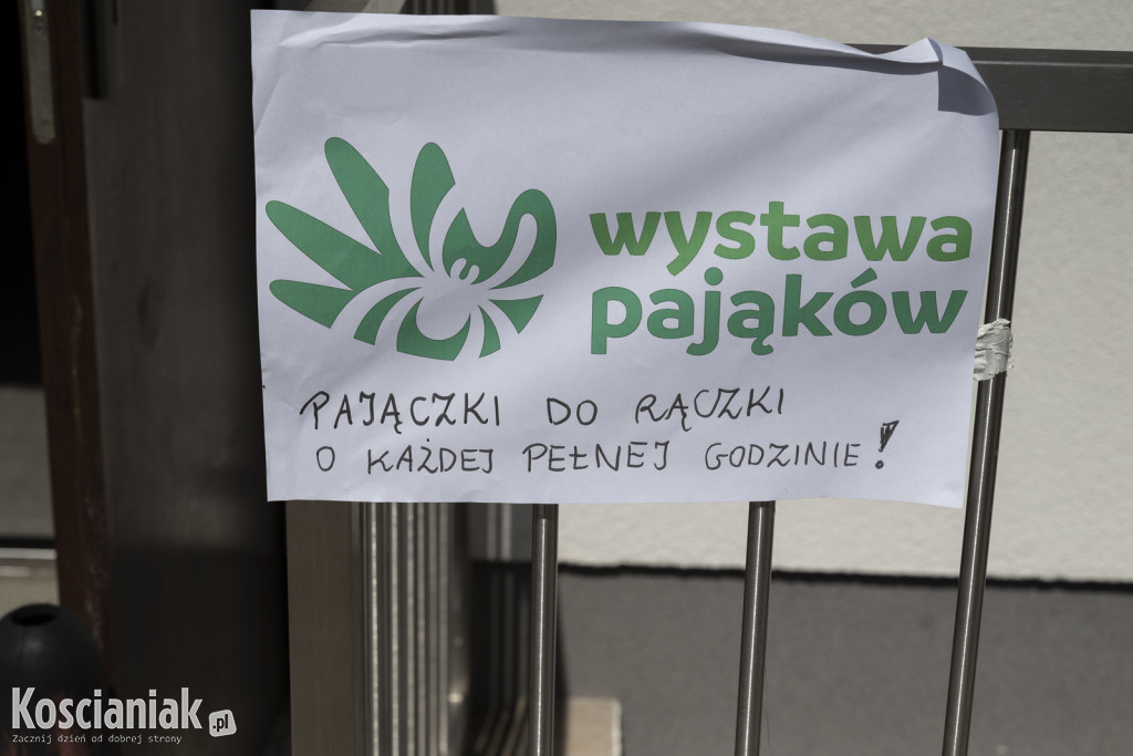 Dzień Dziecka na stadionie z Rzeczodzielnią