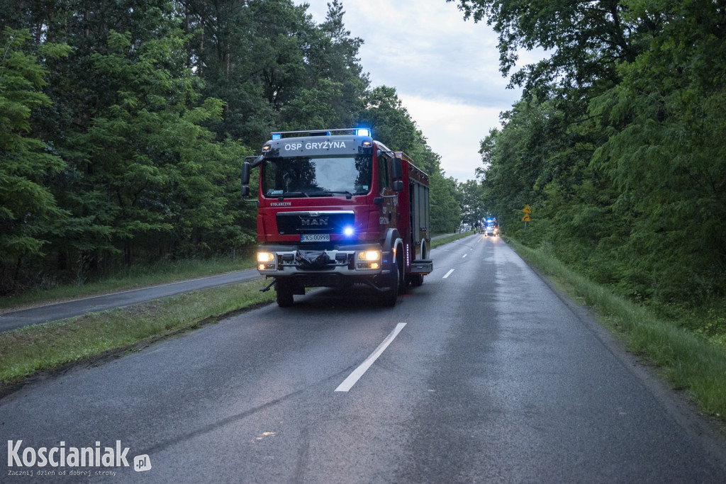 Groźny wypadek pomiędzy Gryżyną a Nowym Dębcem