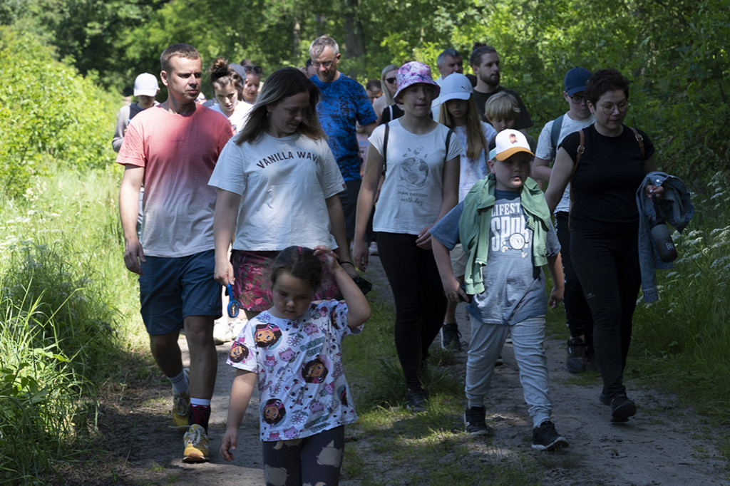Spacer po lesie w poszukiwaniu owadów