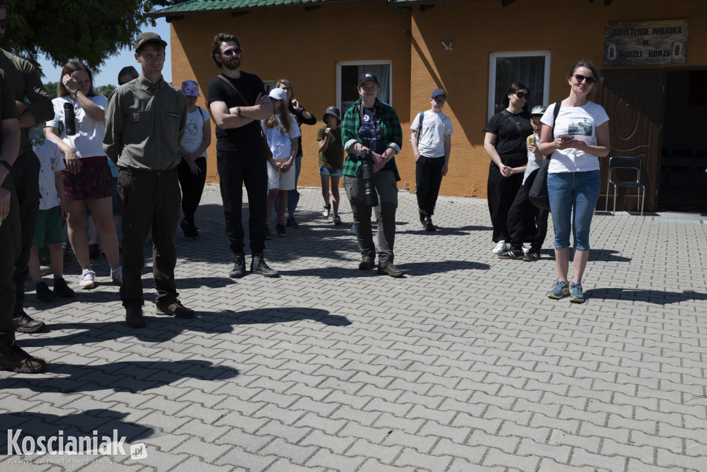 Spacer po lesie w poszukiwaniu owadów