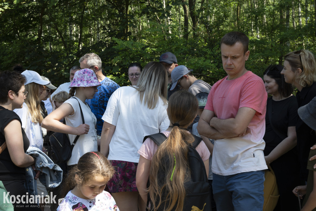 Spacer po lesie w poszukiwaniu owadów