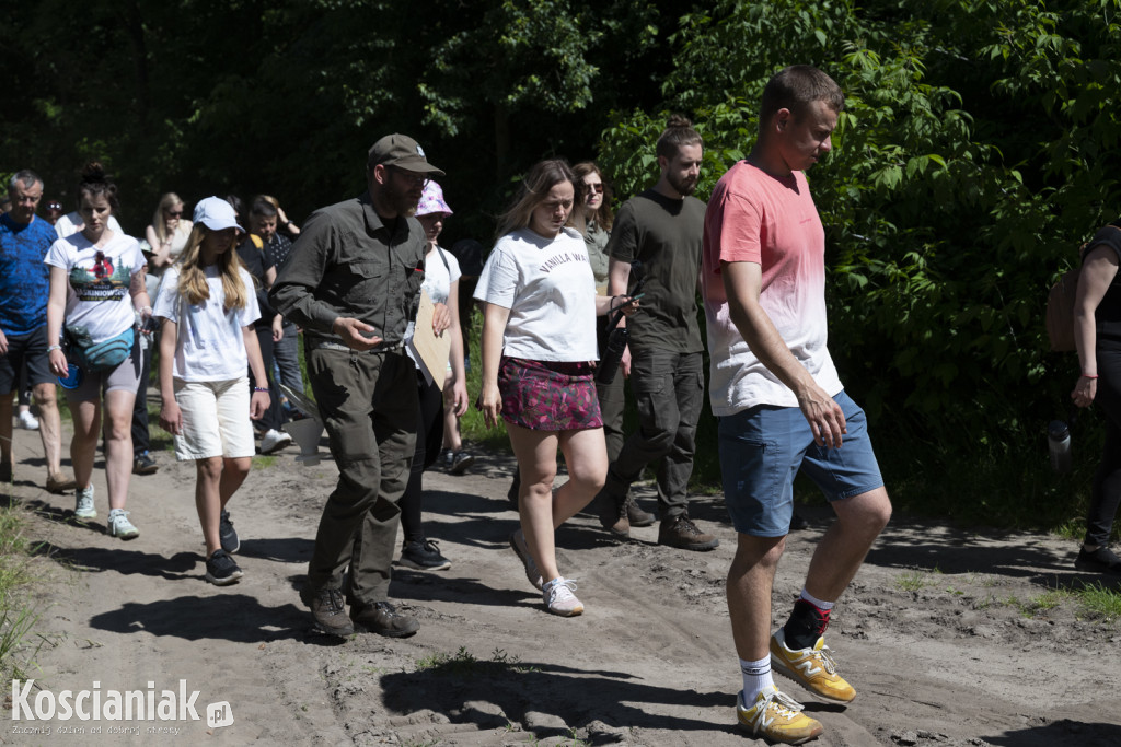 Spacer po lesie w poszukiwaniu owadów