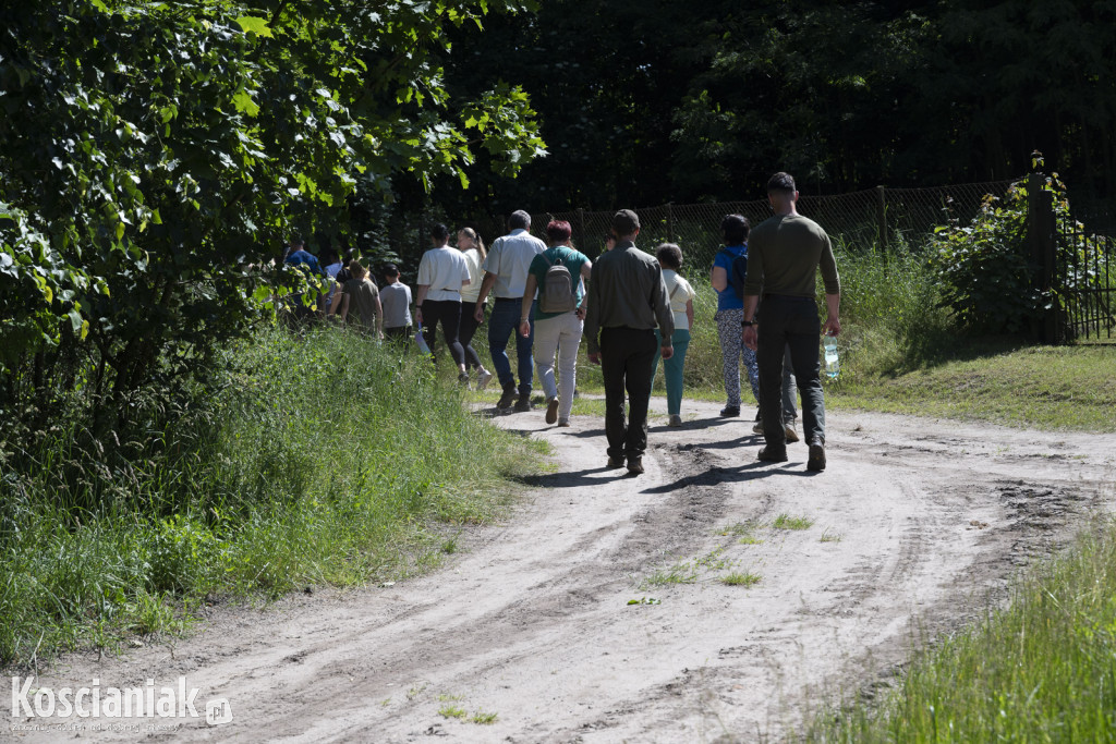 Spacer po lesie w poszukiwaniu owadów