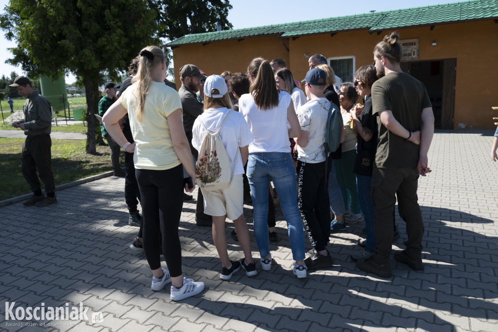 Spacer po lesie w poszukiwaniu owadów