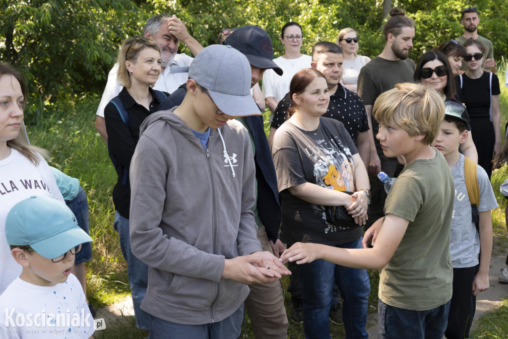 Spacer po lesie w poszukiwaniu owadów