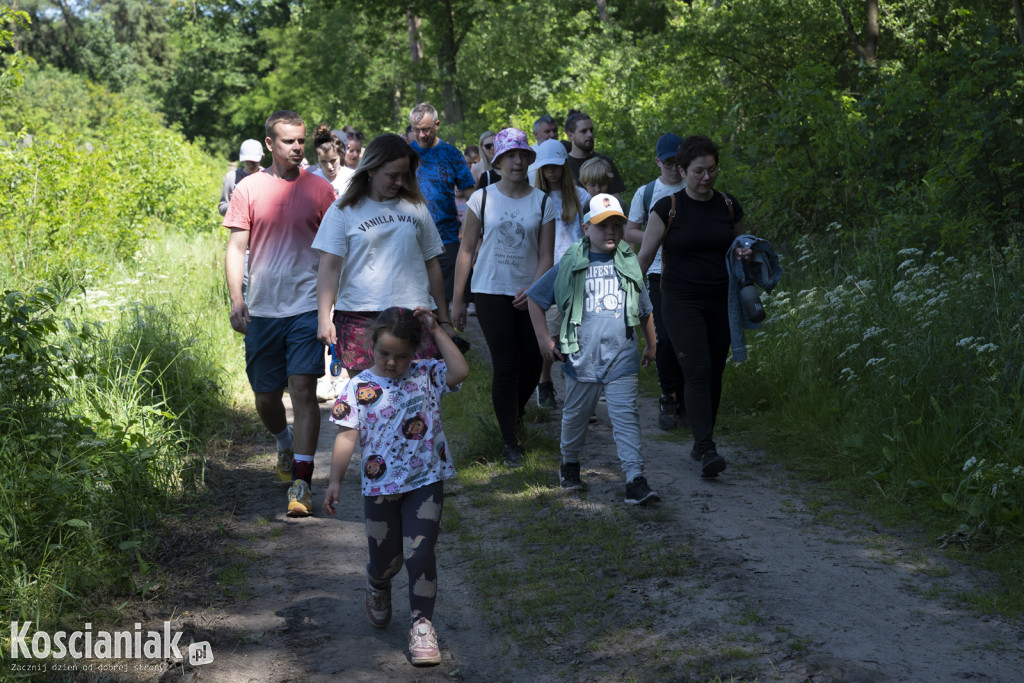 Spacer po lesie w poszukiwaniu owadów