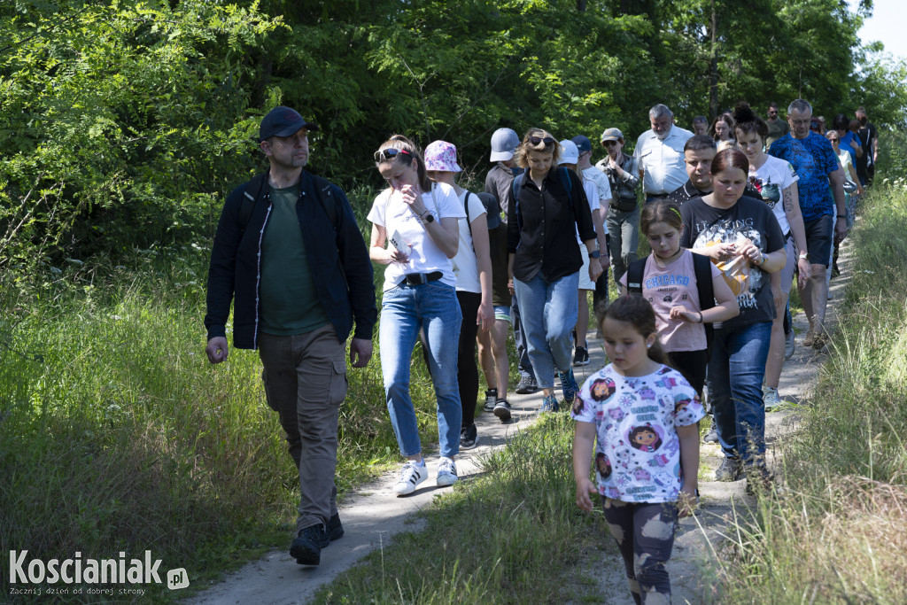 Spacer po lesie w poszukiwaniu owadów