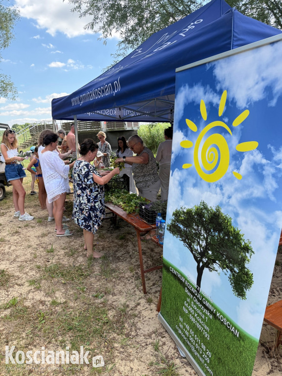 Noc Świętojańska i koncert na plaży w Nowym Dębcu