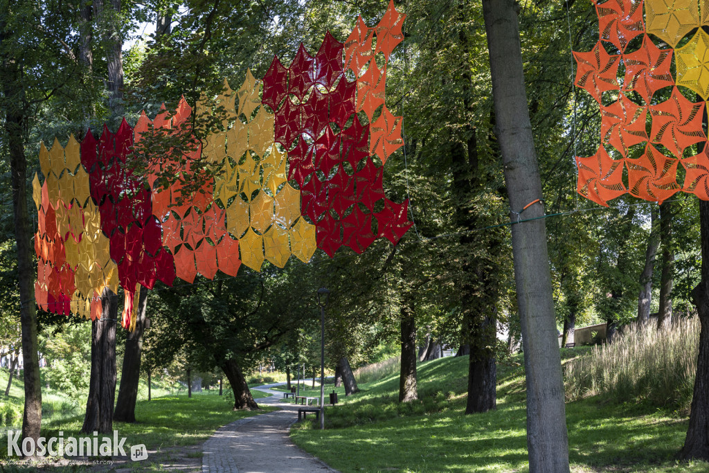 Instalacja dziewiarek na Wałach Żegockiego