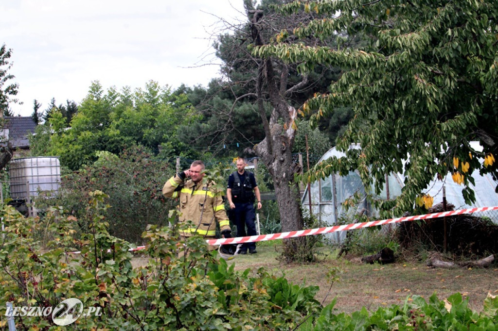Awionetka spadła w powiecie leszczyńskim