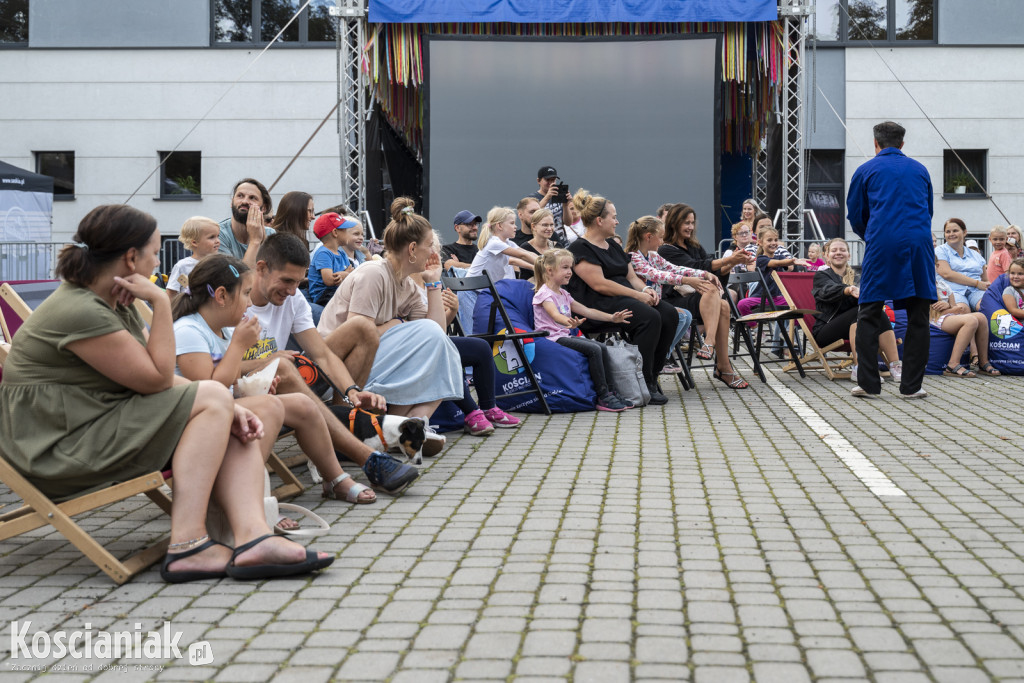 Finał wakacji z kolorem i humorem w KOK