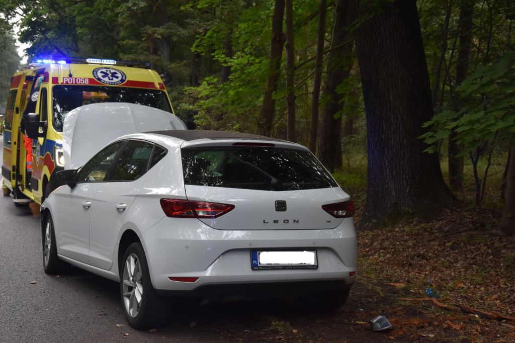Uderzył w drzewo, bo za szybko jechał