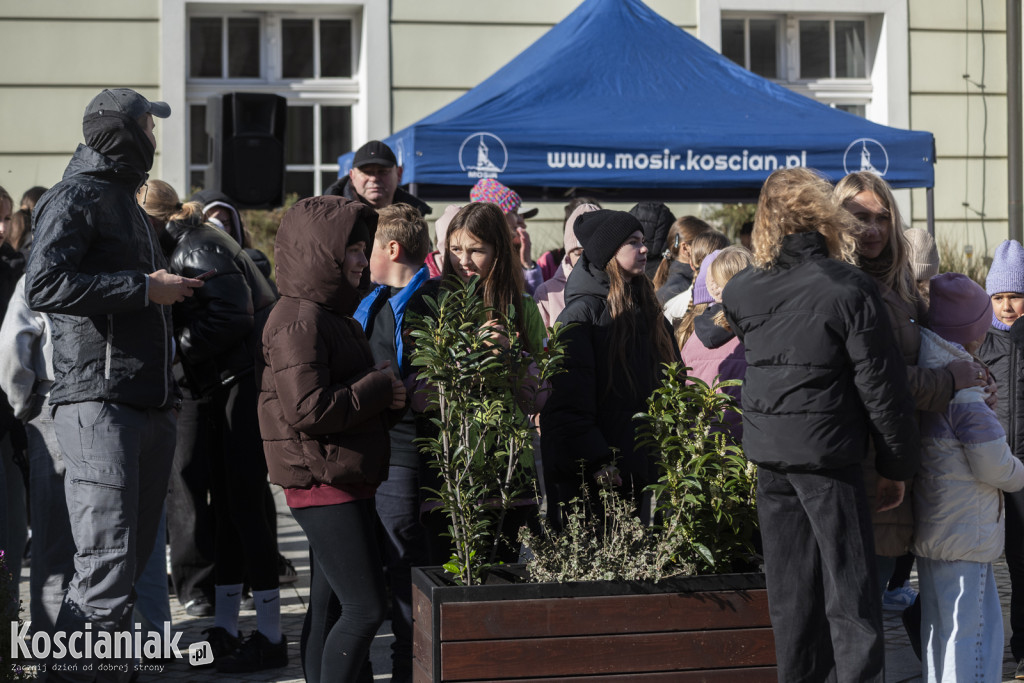 Strefy kibica i atrakcje na Półmaratonie