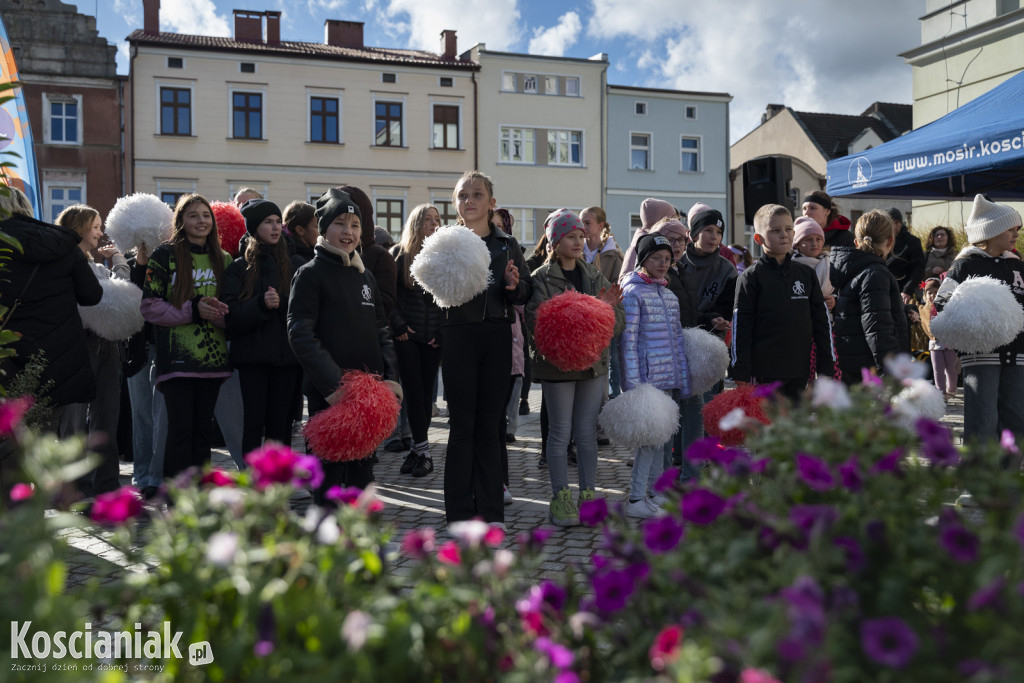 Strefy kibica i atrakcje na Półmaratonie