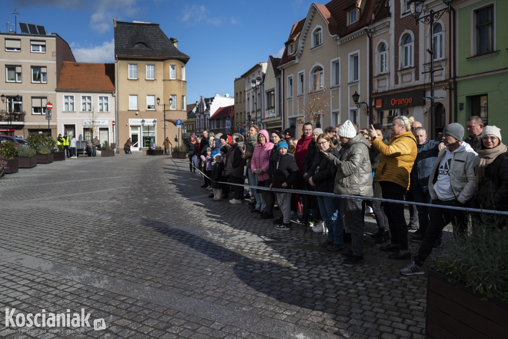 Strefy kibica i atrakcje na Półmaratonie
