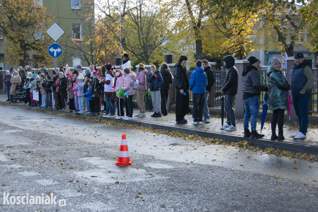 Strefy kibica i atrakcje na Półmaratonie