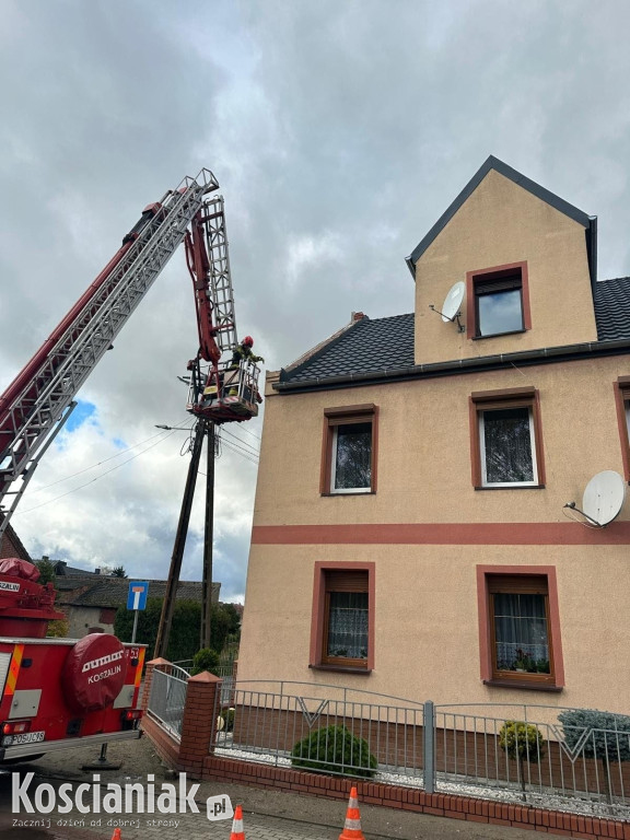 Zerwany dach i powalone drzewa