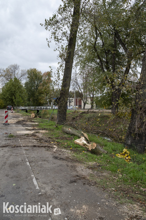 Wycinka i nowe nasadzenia drzew na Łazienkach