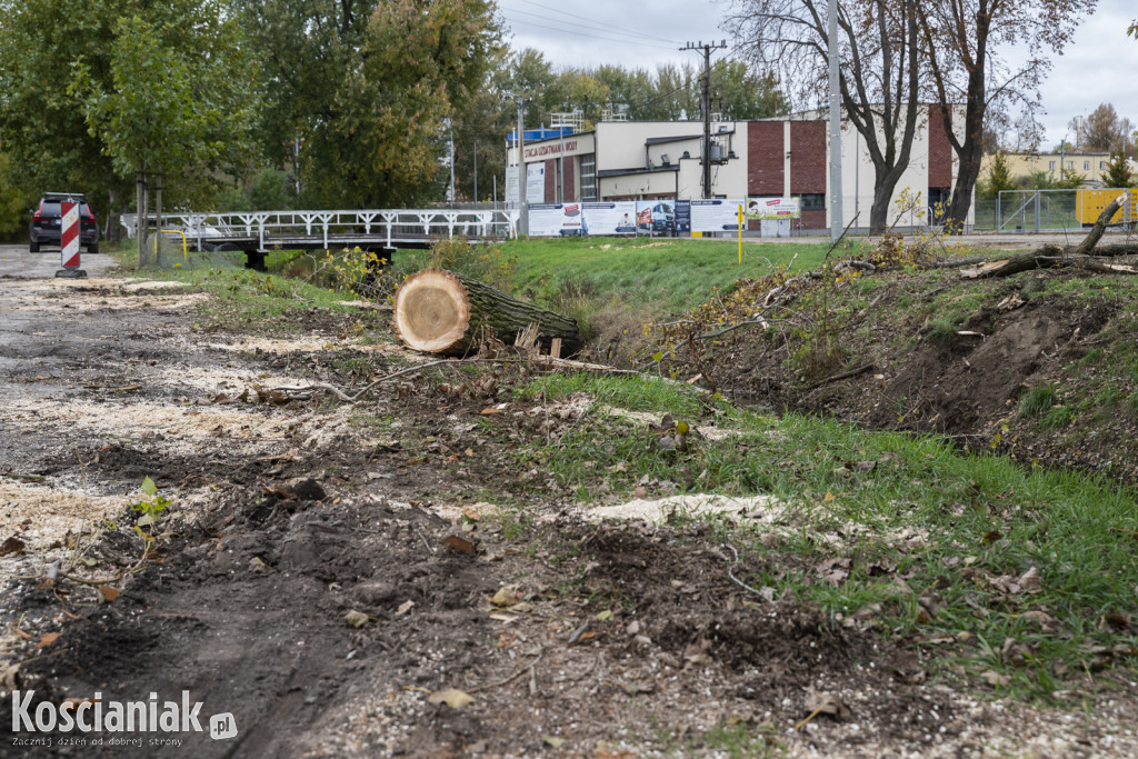 Wycinka i nowe nasadzenia drzew na Łazienkach
