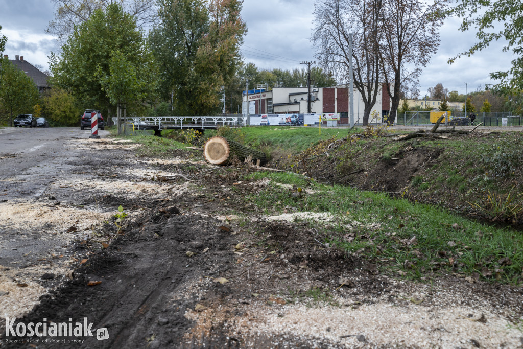 Wycinka i nowe nasadzenia drzew na Łazienkach