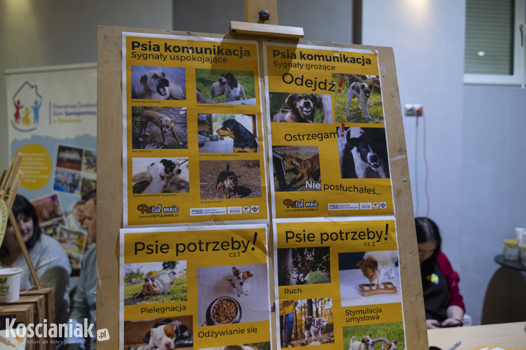 Targi wolontariatu i organizacji pozarządowych