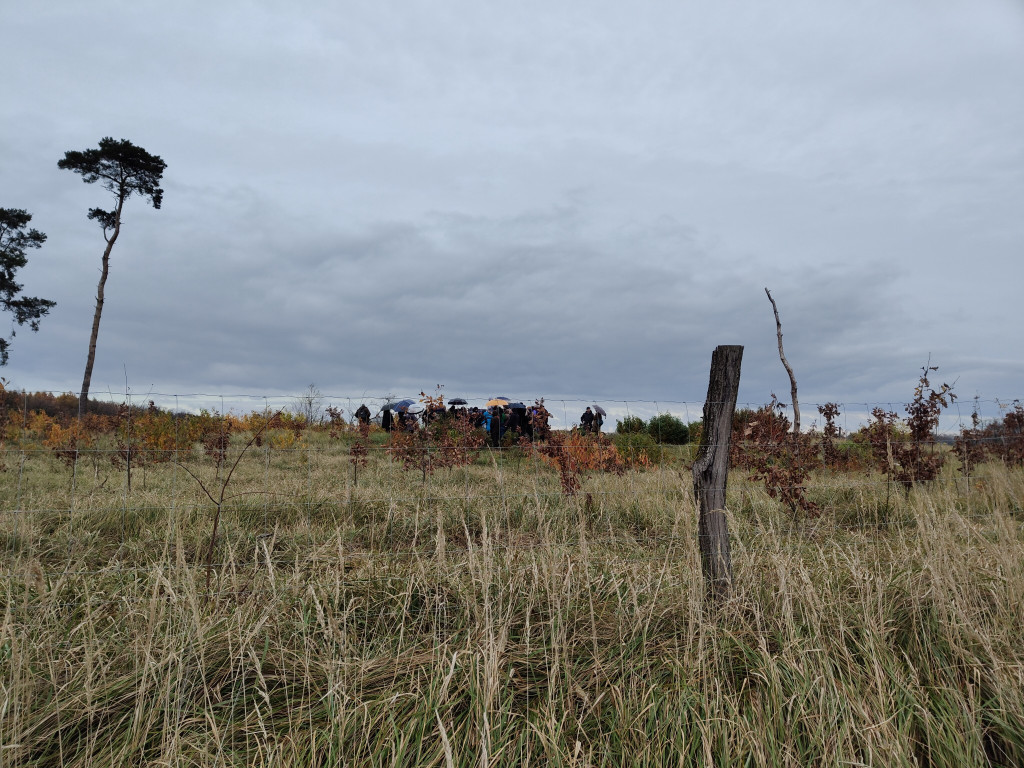 Spotkanie o polskich piramidach w Wyskoci