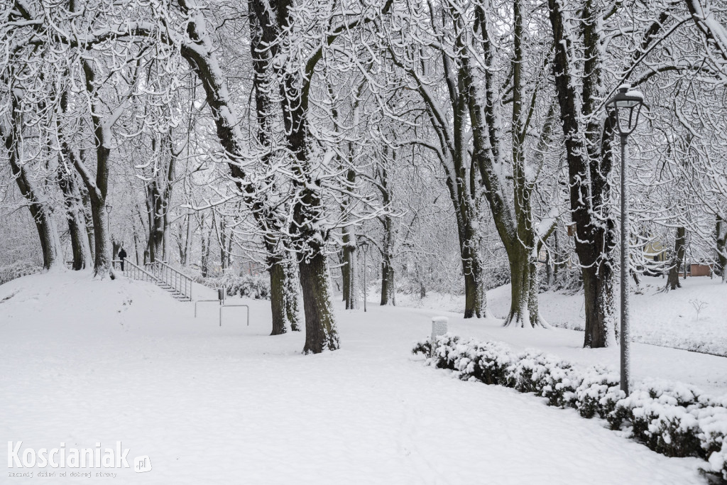 Pierwszy śnieg w tym sezonie