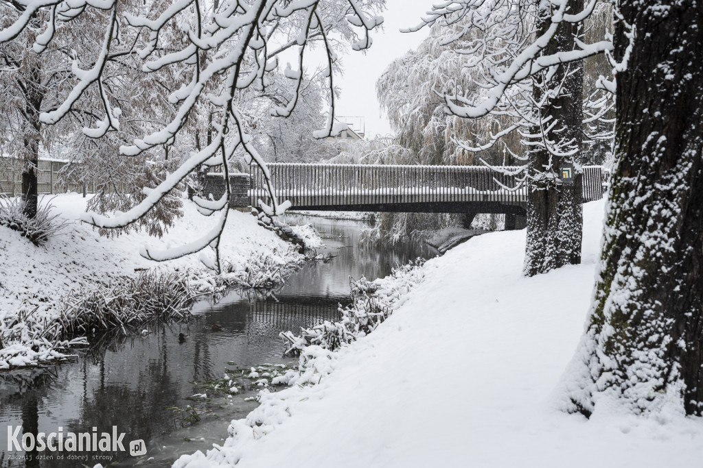 Pierwszy śnieg w tym sezonie