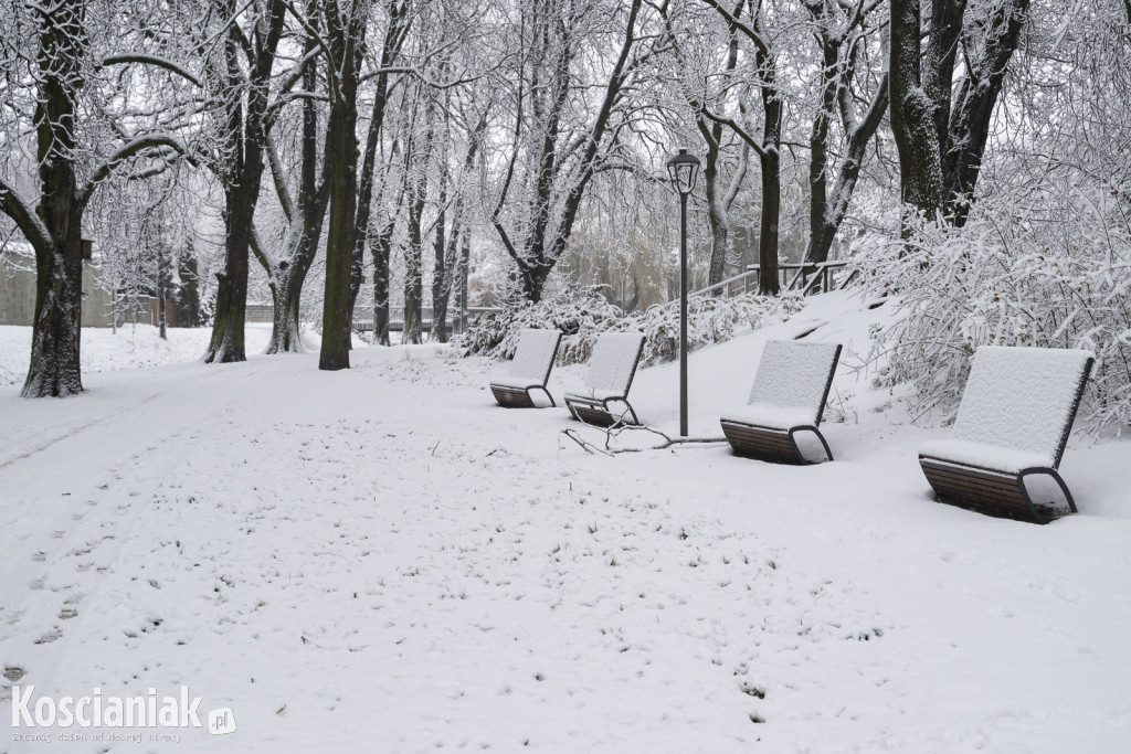 Pierwszy śnieg w tym sezonie