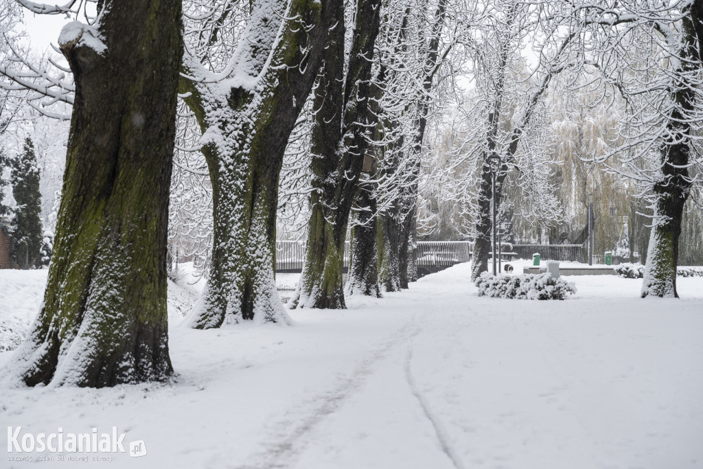 Pierwszy śnieg w tym sezonie