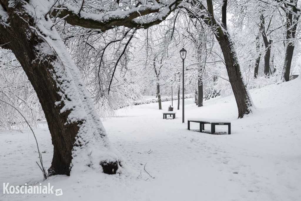 Pierwszy śnieg w tym sezonie
