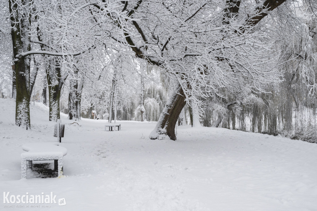 Pierwszy śnieg w tym sezonie