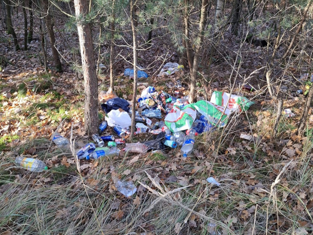 Wyrzucał śmieci do lasu